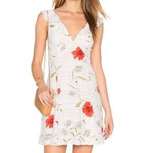 Privacy Please Polk Dress NWOT